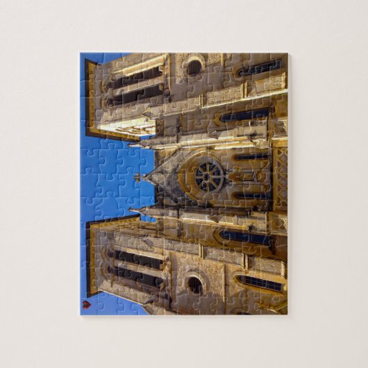 San Fernando Cathedral Texas Legpuzzel (Verticaal)