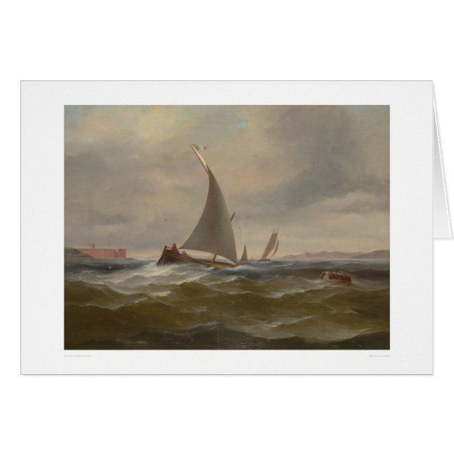 San Francisco Bay Felluca (1314) (Voorkant Horizontaal)