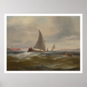 San Francisco Bay Felluca (1314) Poster (Voorkant)