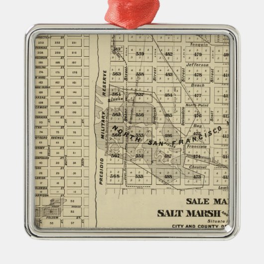 San Francisco Bay Salt Marsh 2 Metalen Ornament (Voorkant)