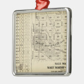 San Francisco Bay Salt Marsh 2 Metalen Ornament (Links)