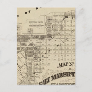 San Francisco Bay Salt Marsh Briefkaart