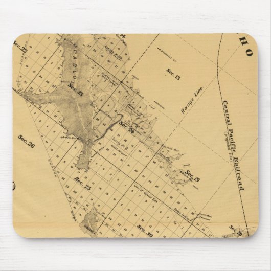 San Francisco Bay Salt Marsh Muismat (Voorkant)