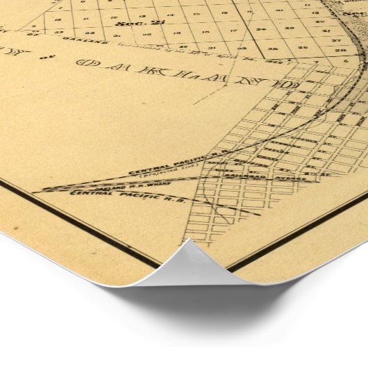 San Francisco Bay Salt Marsh Poster (Hoek)