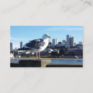 san francisco bird uitzicht visitekaartje