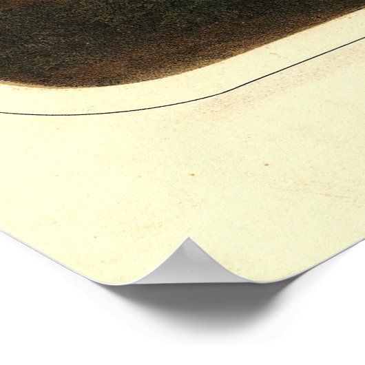 San Francisco Birdseye Panoramic Map 1846 Poster (Hoek)