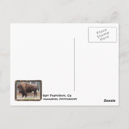 San Francisco Bison Briefkaart. Briefkaart (Achterkant)