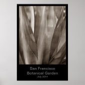 San Francisco Botanische Tuin #1 Poster (Voorkant)