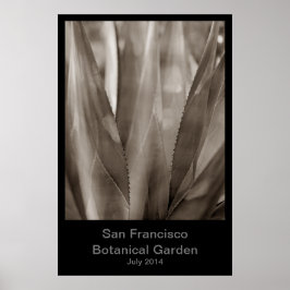 San Francisco Botanische Tuin #1 Poster
