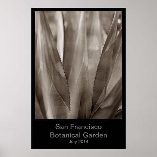 San Francisco Botanische Tuin #1 Poster (Voorkant)