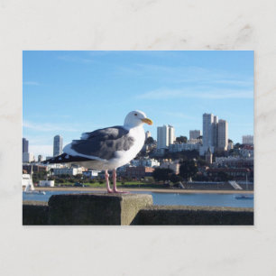 san francisco briefkaart