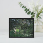 San Francisco Briefkaart (Staand voorkant)