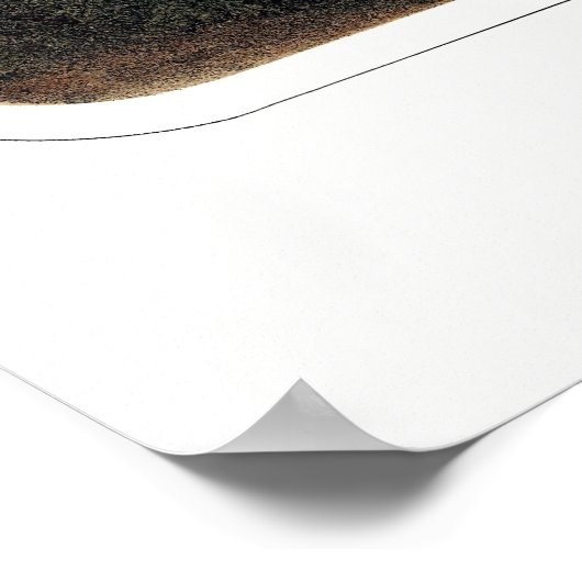 San Francisco, CA Panoramic Map - 1860 Poster (Hoek)