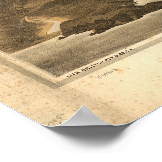 San Francisco California 1876 Panoramic Map Poster (Hoek)