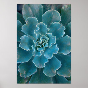 San Francisco Californias Golden Gate Park en Poster