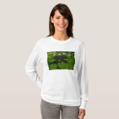 San Francisco Californias Golden Gate Park en T-shirt (Voorkant volledig)
