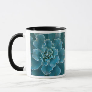 San Francisco Californië's Golden Gate Park en Mok