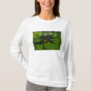 San Francisco Californië's Golden Gate Park en T-shirt