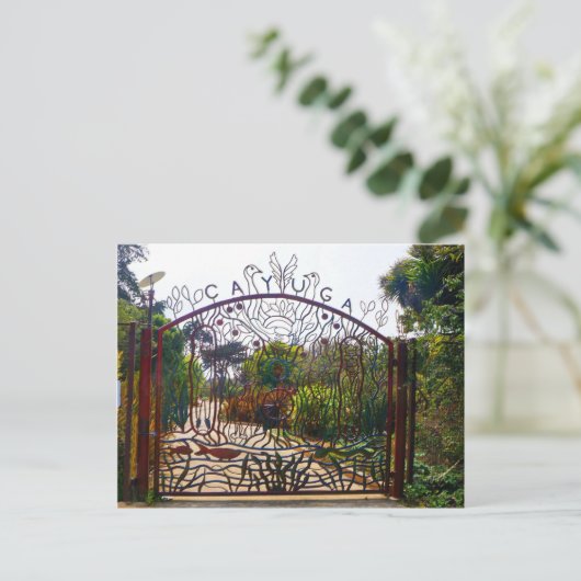 San Francisco Cayuga Park Briefkaart (Staand voorkant)