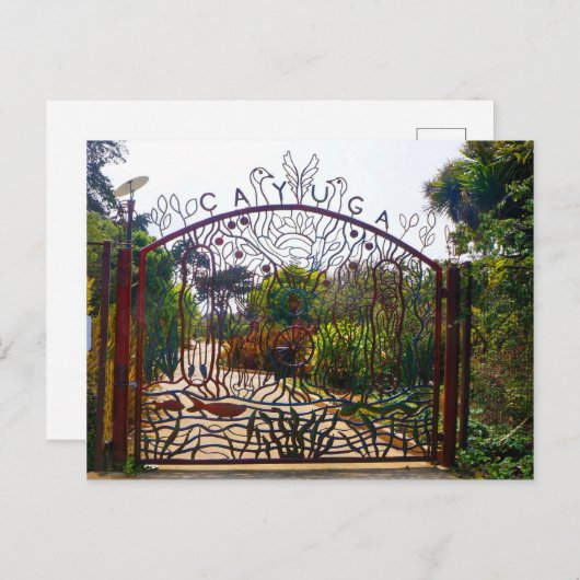 San Francisco Cayuga Park Briefkaart (Voorkant / Achterkant)