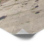 SAN FRANCISCO CITY PANORAMA POSTER (Hoek)