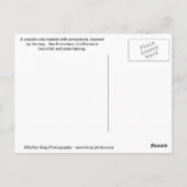 San Francisco Collage Briefkaart (Achterkant)