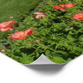 San Francisco Conservatory of Flowers Poster (Hoek)