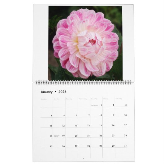San Francisco Dahlias 2022 Kalender (Jan 2026)