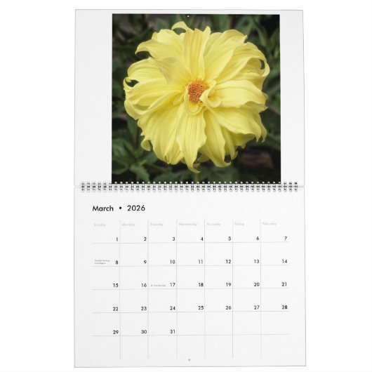 San Francisco Dahlias 2022 Kalender (Mar 2026)