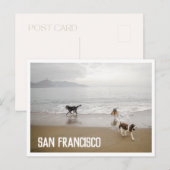 San Francisco Dogs in het Beach Briefkaart (Voorkant / Achterkant)