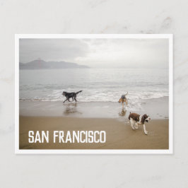 San Francisco Dogs in het Beach Briefkaart