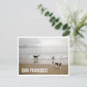 San Francisco Dogs in het Beach Briefkaart (Staand voorkant)