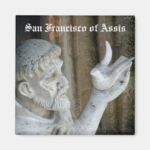 San Francisco en de duif Magneet