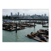 San Francisco en Pier 39 Zee Lions City Skyline (Voorkant Horizontaal)