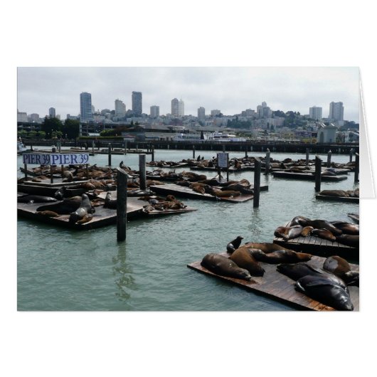 San Francisco en Pier 39 Zee Lions City Skyline (Voorkant Horizontaal)