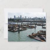 San Francisco en Pier 39 Zee Lions City Skyline (Voorkant)