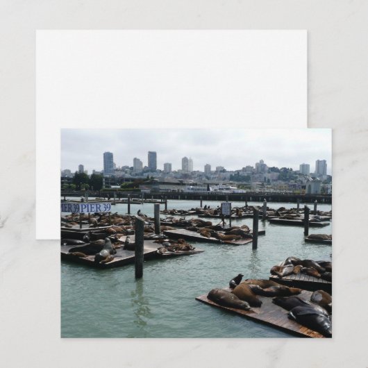 San Francisco en Pier 39 Zee Lions City Skyline (Voorkant / Achterkant)