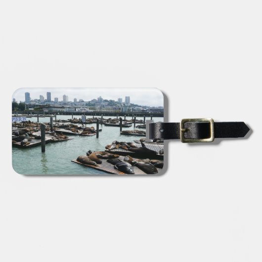 San Francisco en Pier 39 Zee Lions City Skyline Bagagelabel (Voorkant horizontaal)