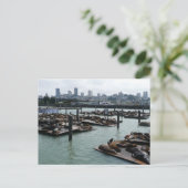 San Francisco en Pier 39 Zee Lions City Skyline Briefkaart (Staand voorkant)