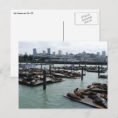 San Francisco en Pier 39 Zee Lions City Skyline Briefkaart (Voorkant / Achterkant)
