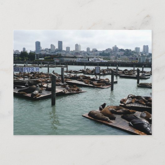 San Francisco en Pier 39 Zee Lions City Skyline Briefkaart (Voorkant)