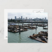 San Francisco en Pier 39 Zee Lions City Skyline Briefkaart (Voorkant / Achterkant)