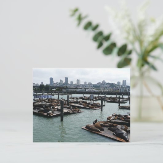 San Francisco en Pier 39 Zee Lions City Skyline Briefkaart (Staand voorkant)