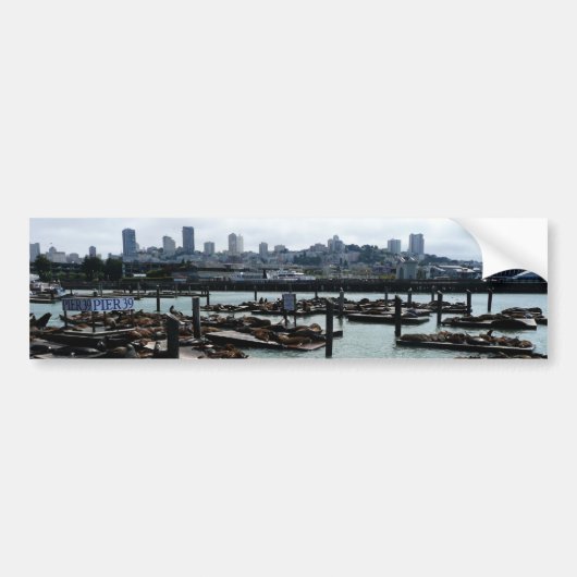 San Francisco en Pier 39 Zee Lions City Skyline Bumpersticker (Voorkant)