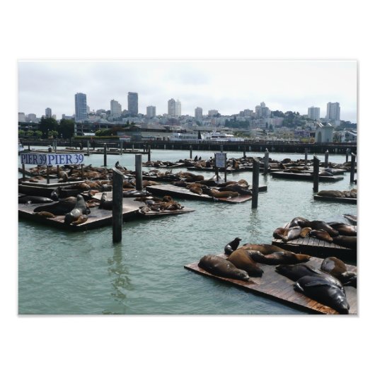 San Francisco en Pier 39 Zee Lions City Skyline Foto Afdruk (Voorkant)