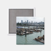 San Francisco en Pier 39 Zee Lions City Skyline Magneet (Voorkant / Achterkant)