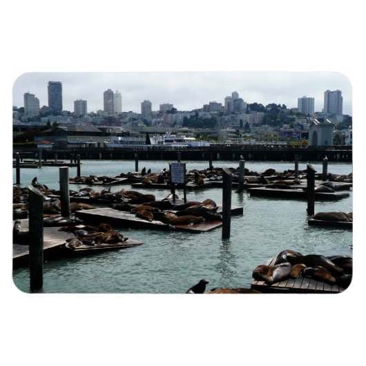 San Francisco en Pier 39 Zee Lions City Skyline Magneet (Horizontaal)