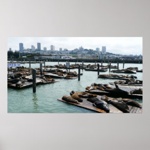San Francisco en Pier 39 Zee Lions City Skyline Poster