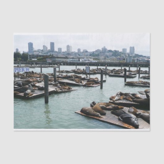 San Francisco en Pier 39 Zee Lions City Skyline Tissuepapier (Voorkant)