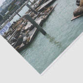 San Francisco en Pier 39 Zee Lions City Skyline Tissuepapier (Detail)